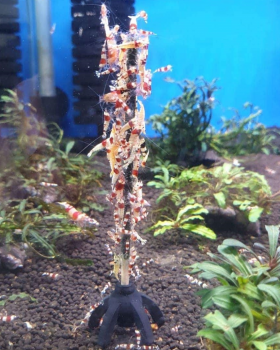 Preview: Nano-Lollies-Set